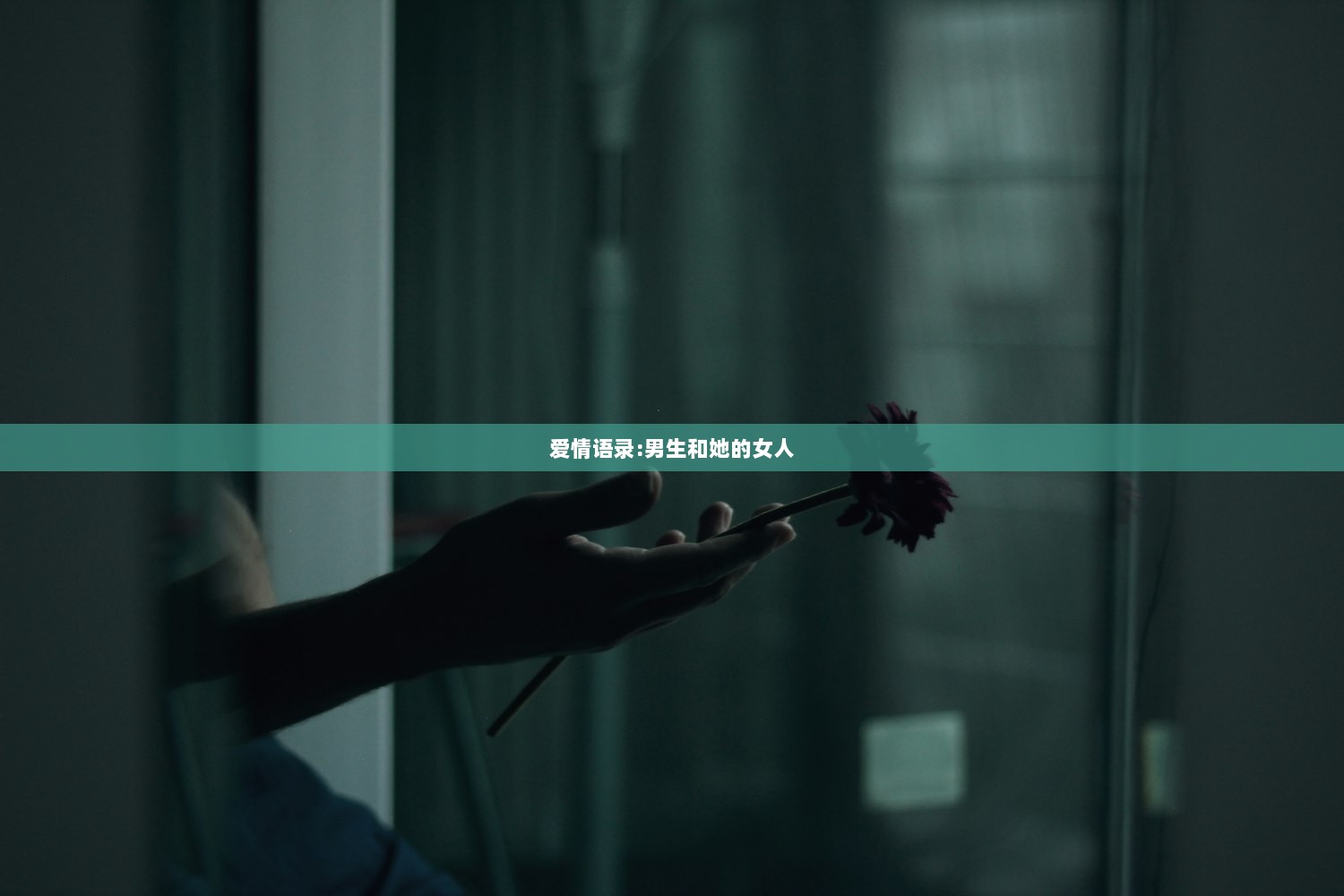 爱情语录:男生和她的女人