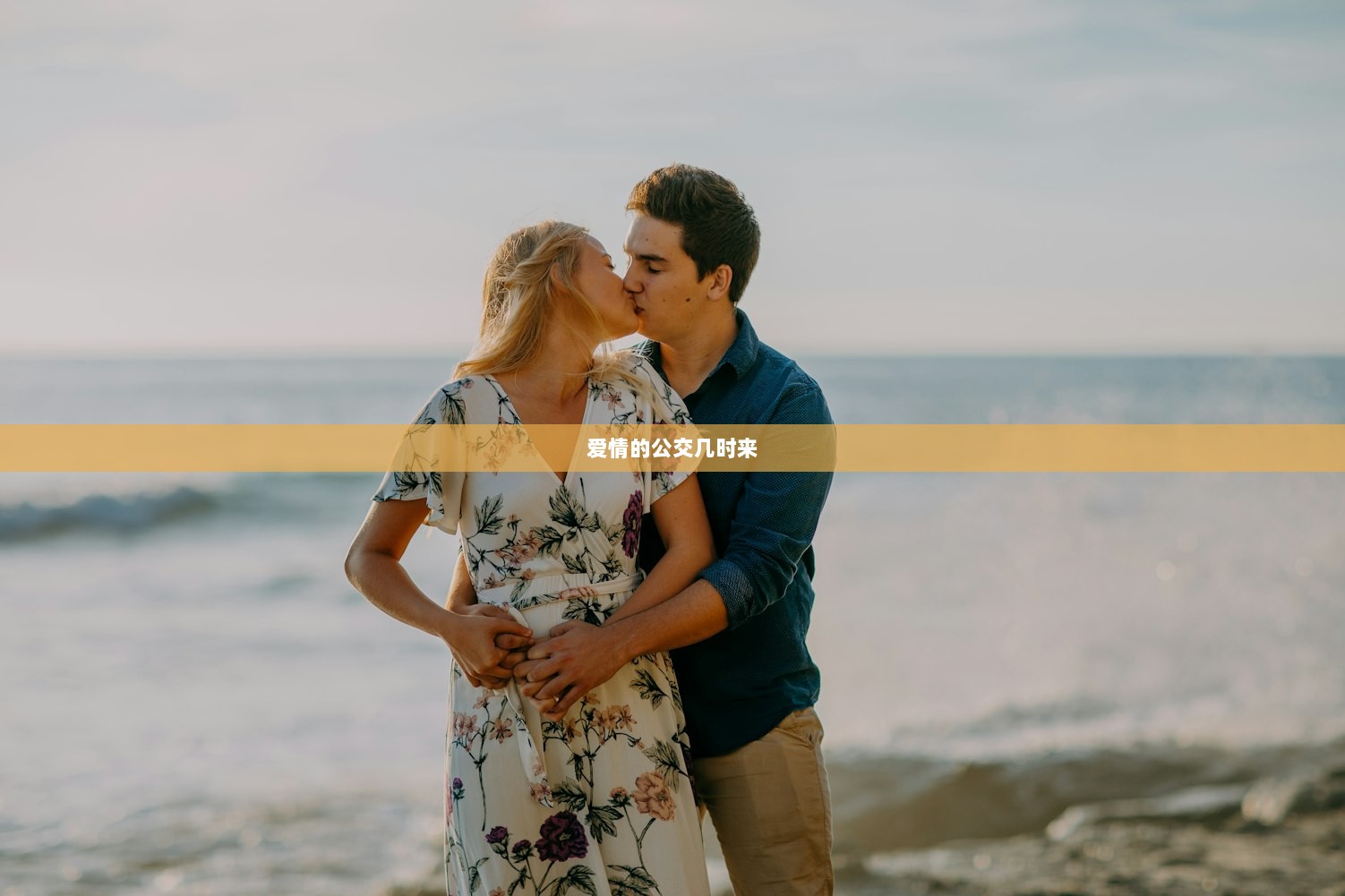 爱情的公交几时来