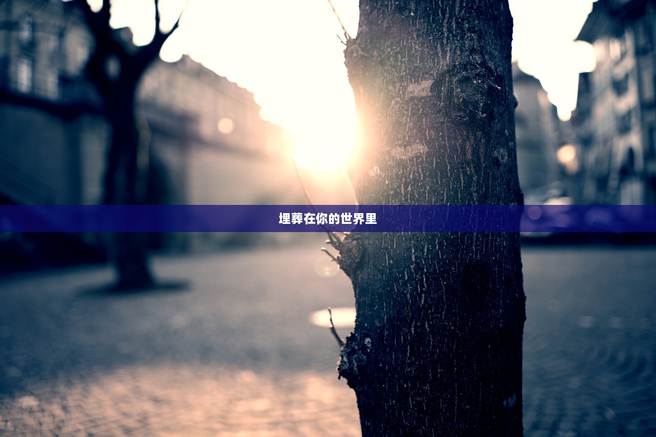 埋葬在你的世界里