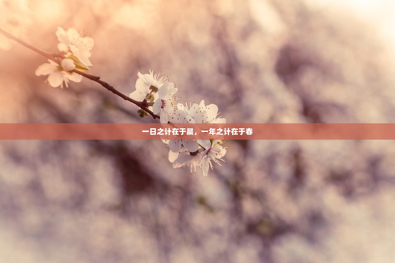 一日之计在于晨，一年之计在于春