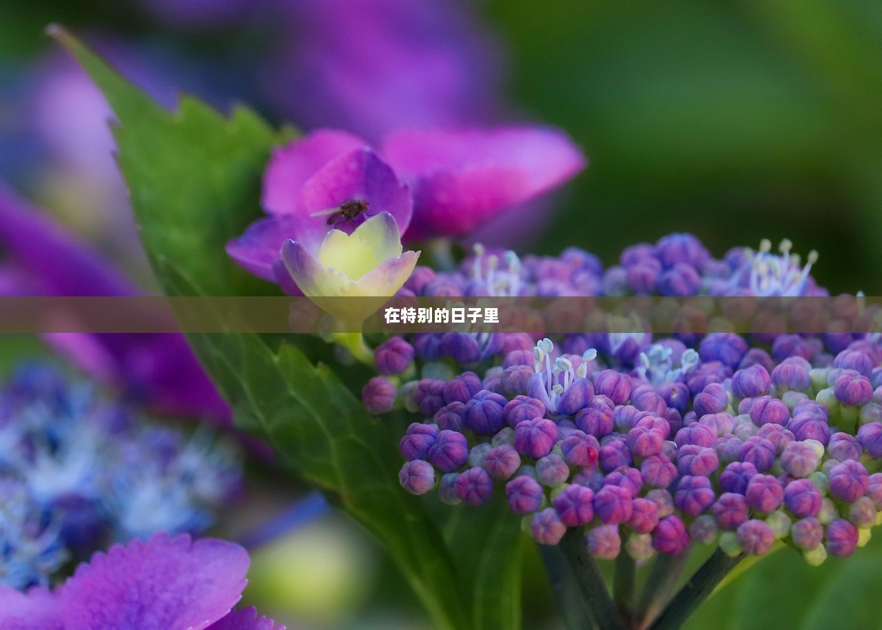 在特别的日子里