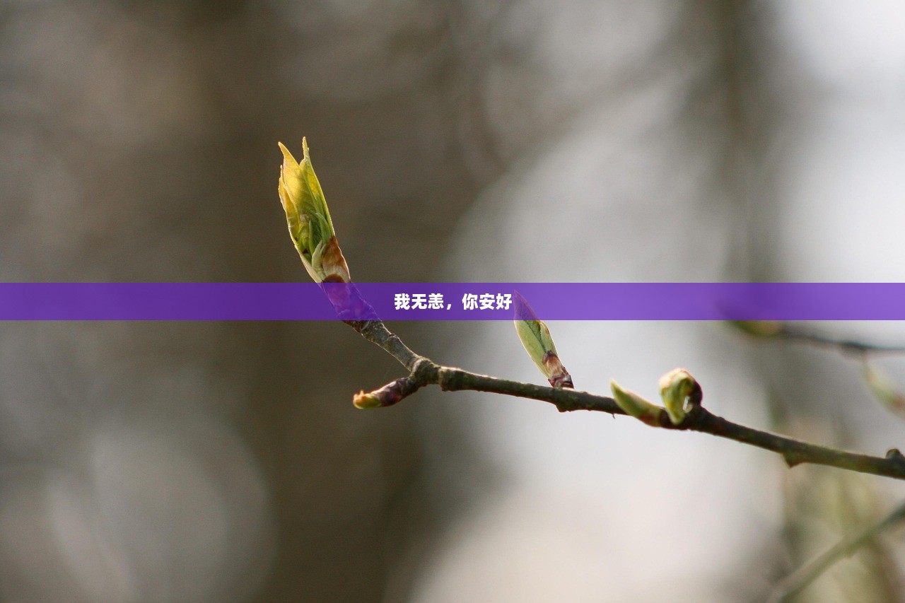 我无恙，你安好