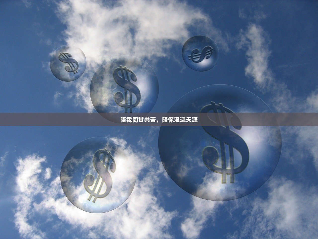 陪我同甘共苦,陪你浪迹天涯 第1张 陪我同甘共苦,陪你浪迹天涯 第1张