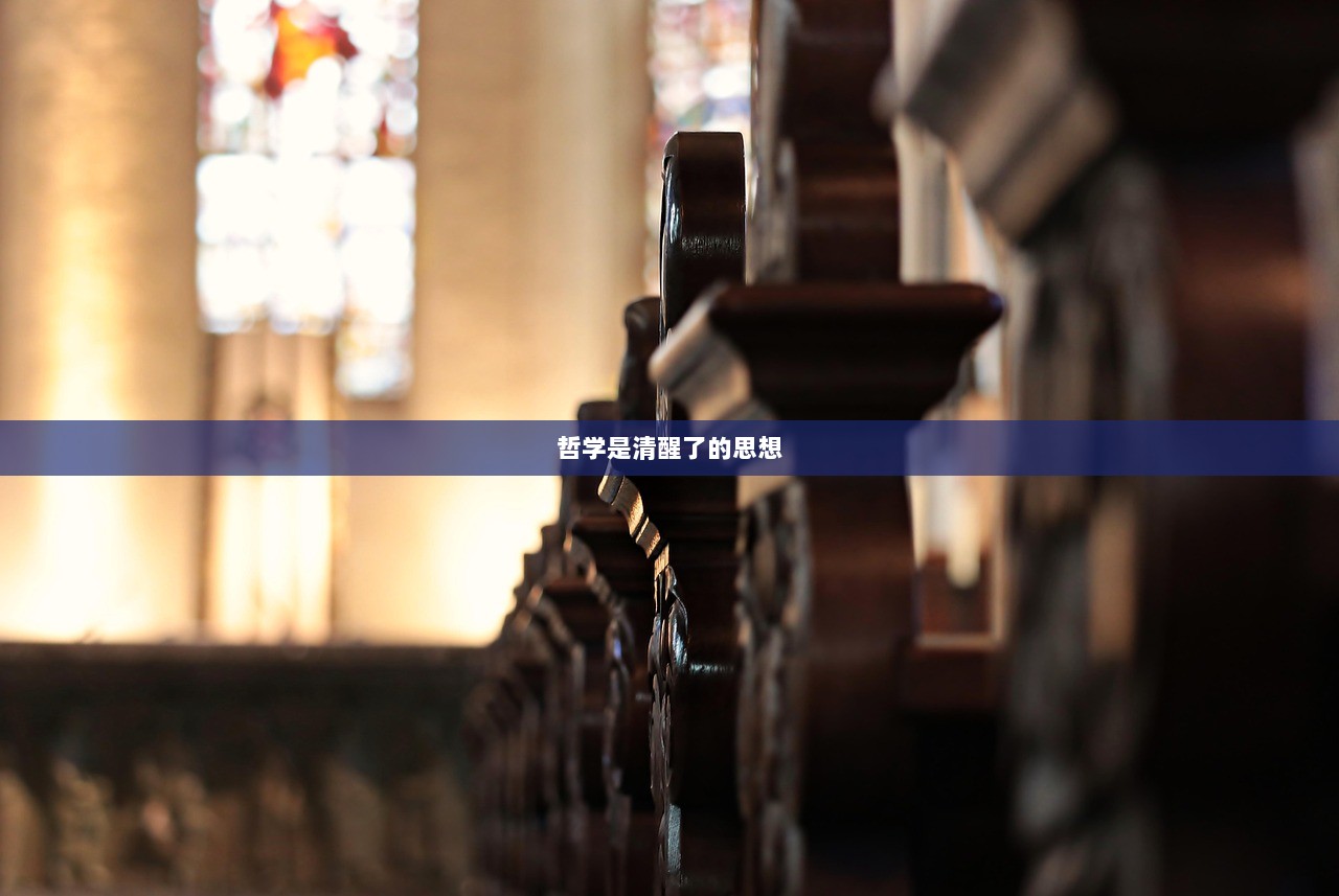 哲学是清醒了的思想  第1张