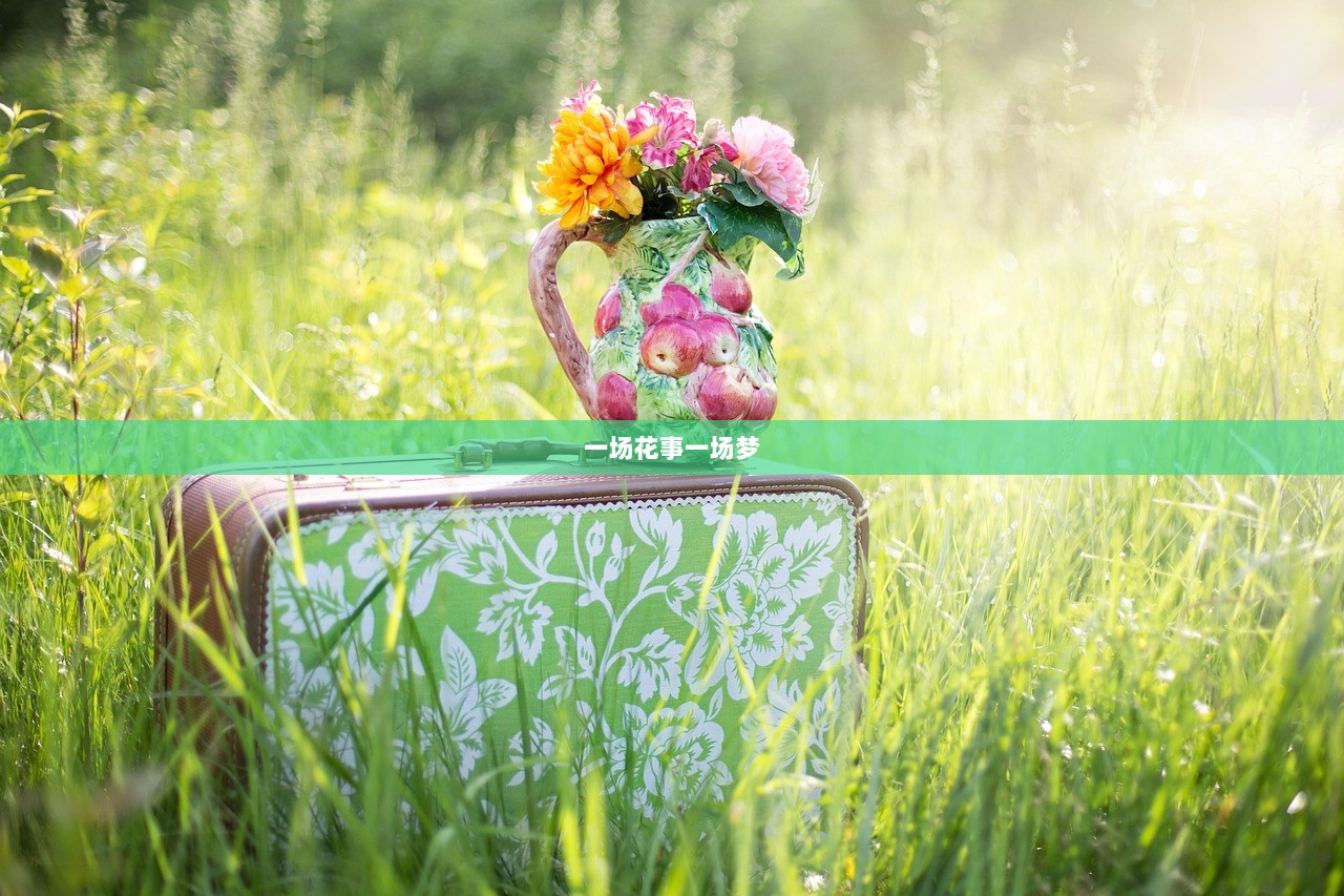 一场花事一场梦  第1张