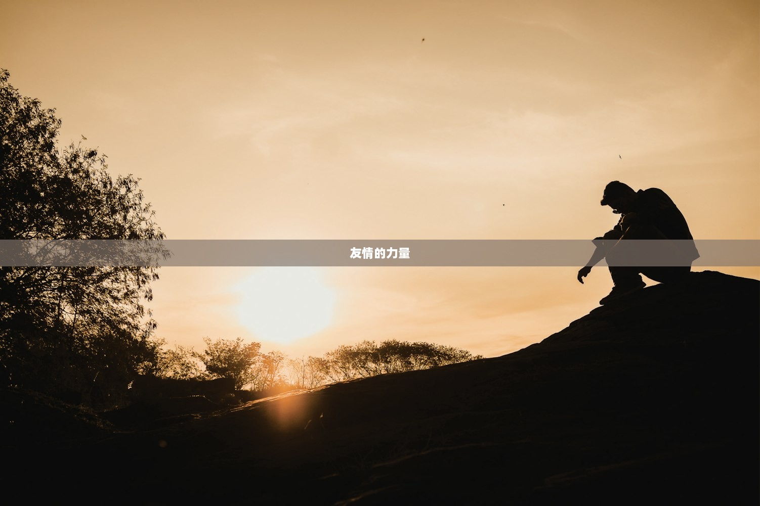 友情的力量  第1张