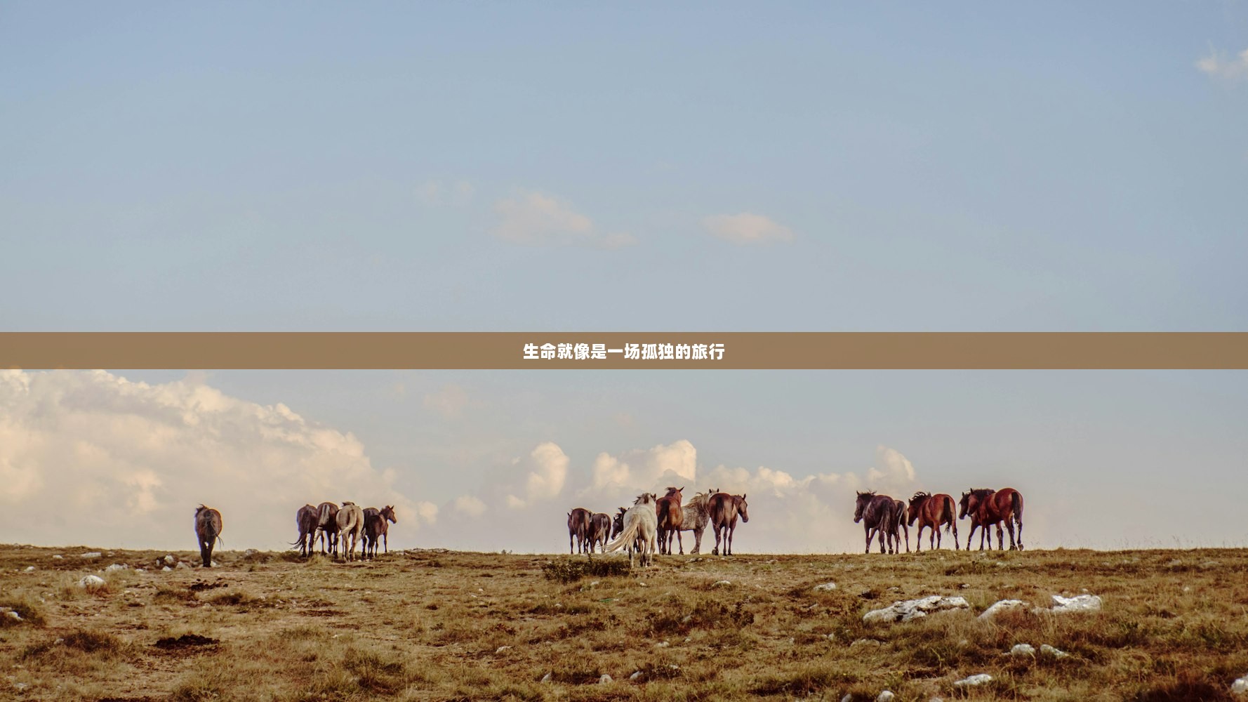 生命就像是一场孤独的旅行 第1张 生命就像是一场孤独的旅行 第1张