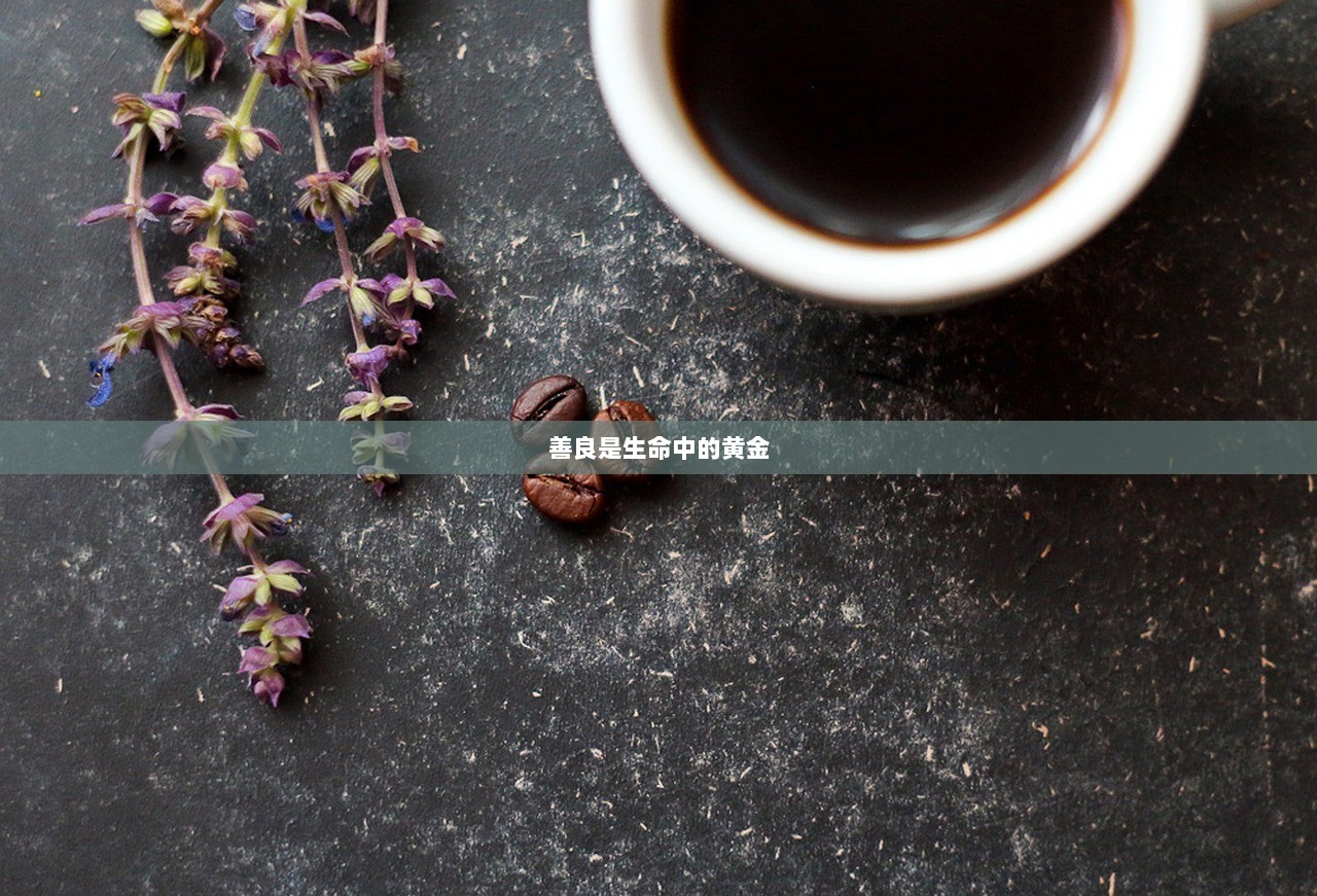 善良是生命中的黄金  第1张