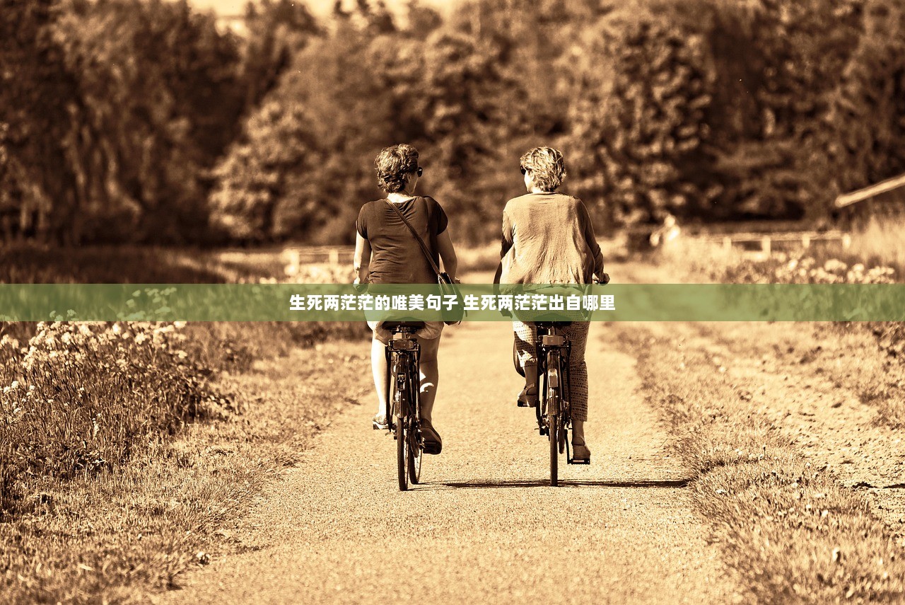 生死两茫茫的唯美句子 生死两茫茫出自哪里  第1张