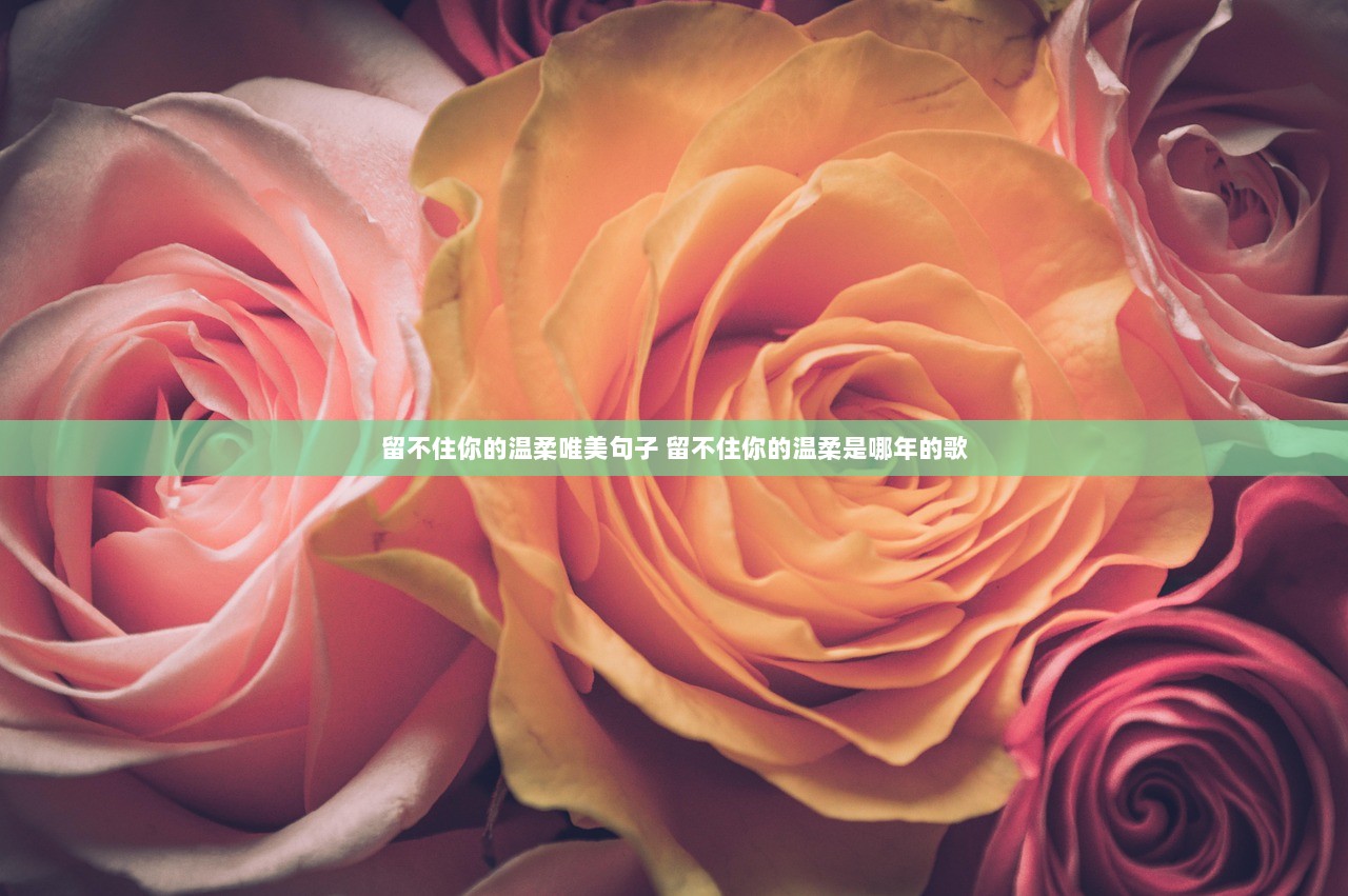 留不住你的温柔唯美句子 留不住你的温柔是哪年的歌