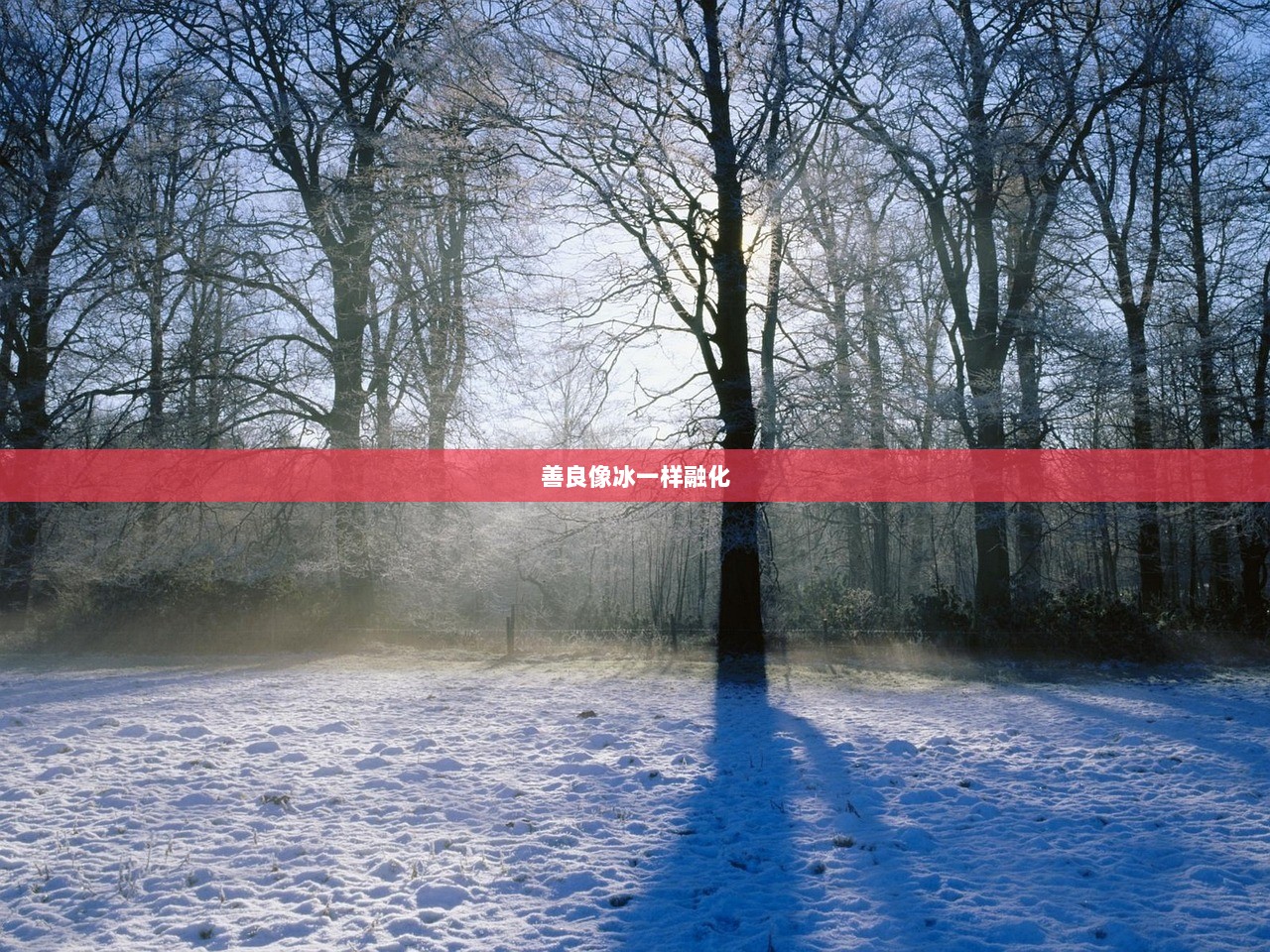 善良像冰一样融化  第1张