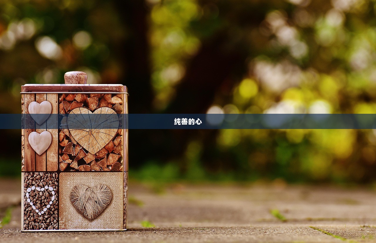 纯善的心