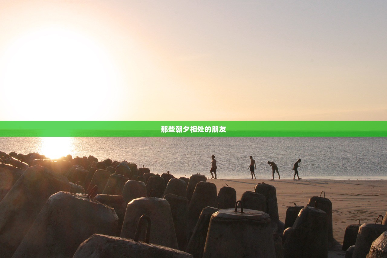 那些朝夕相处的朋友