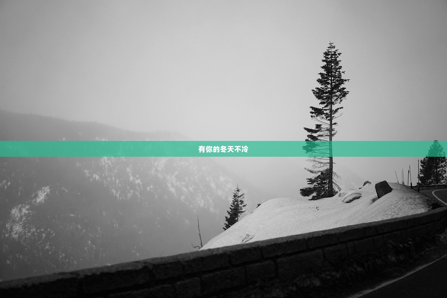 有你的冬天不冷
