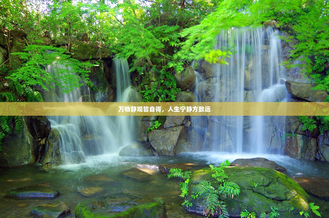 万物静观皆自得，人生宁静方致远