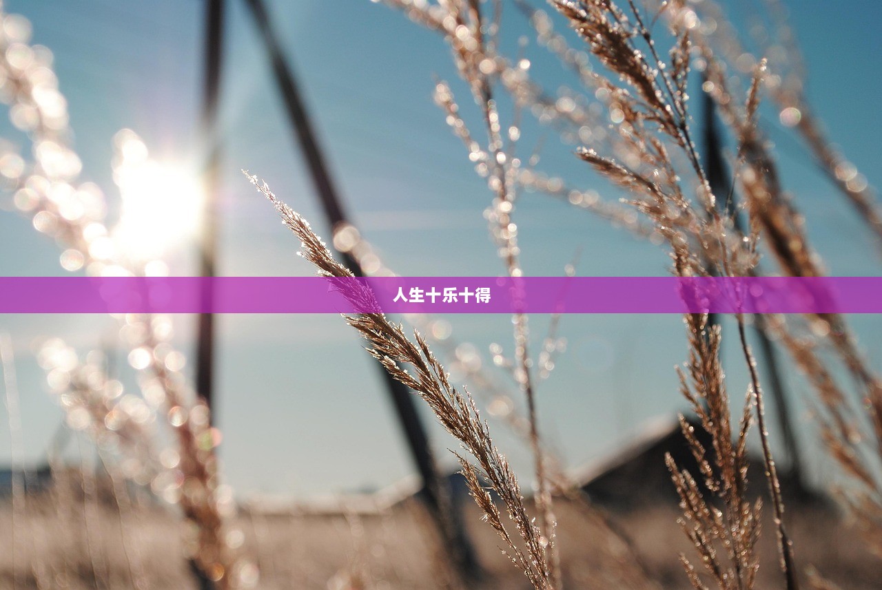人生十乐十得  第1张
