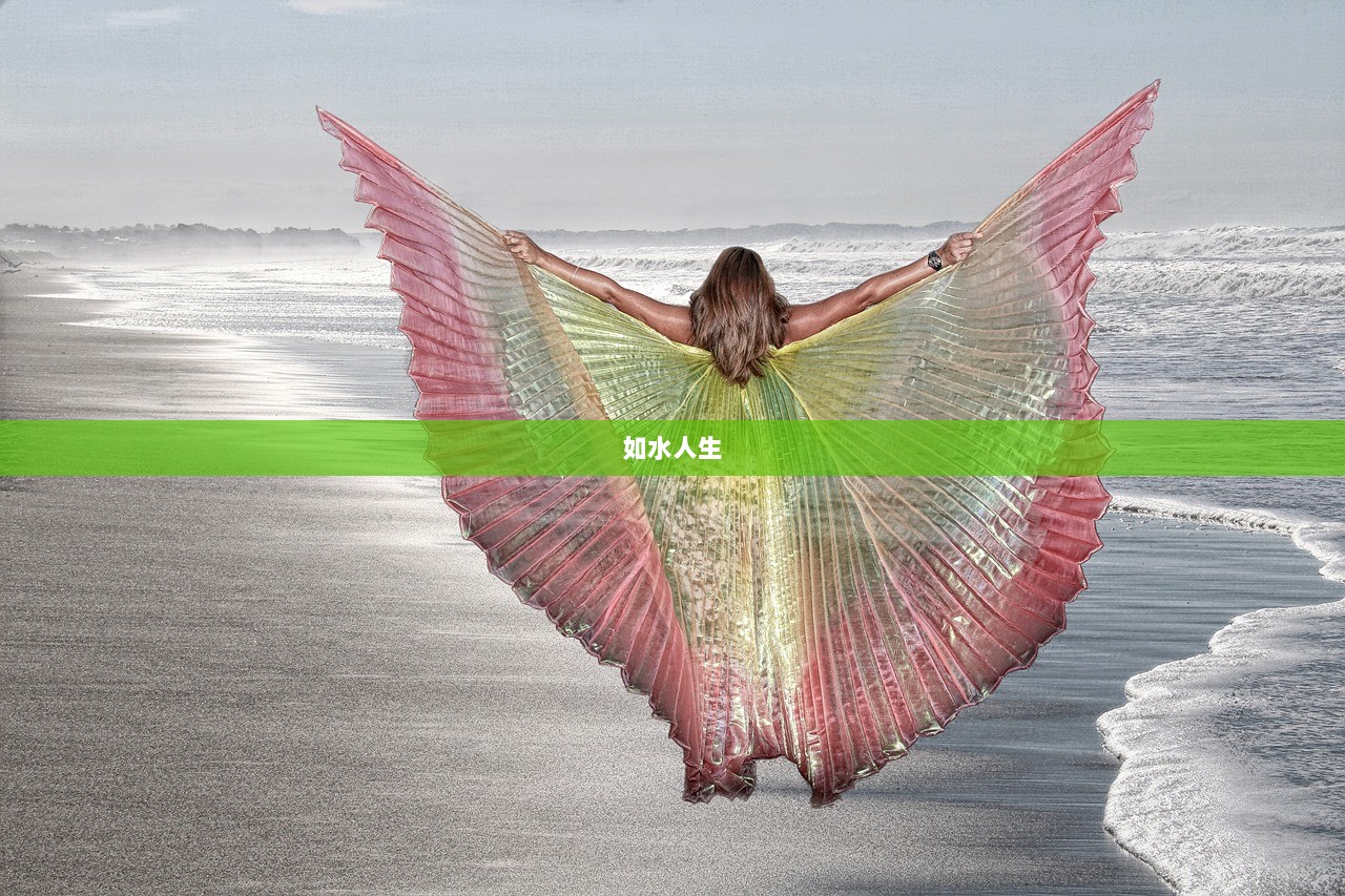 如水人生  第1张