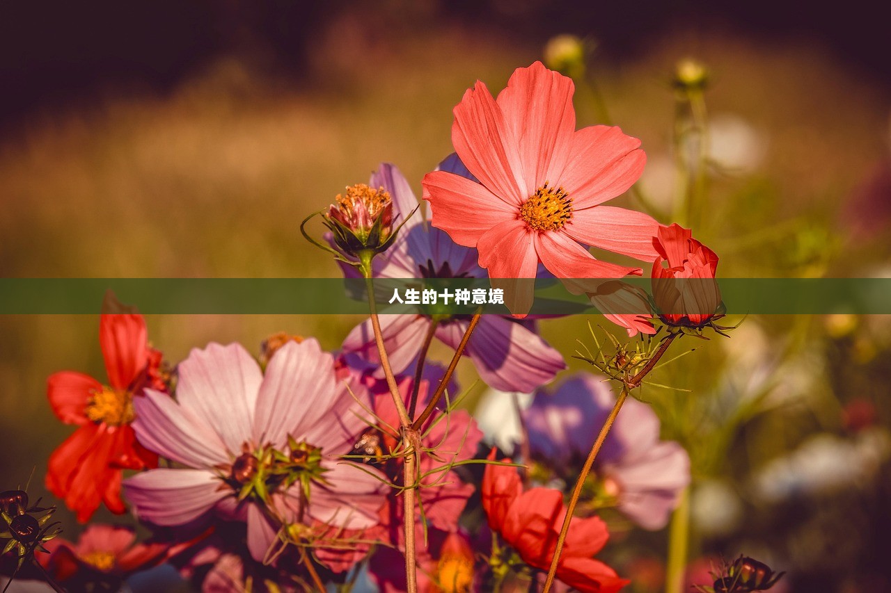 人生的十种意境  第1张