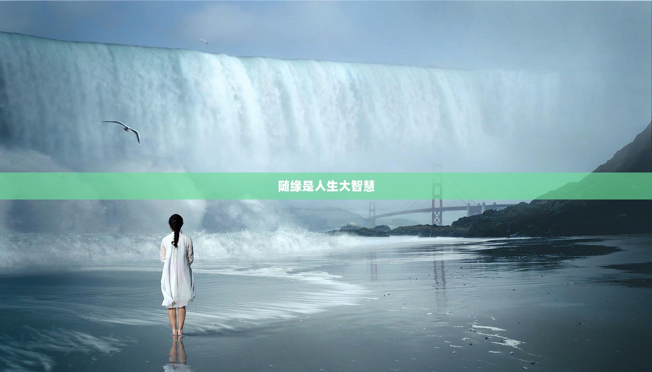 随缘是人生大智慧  第1张