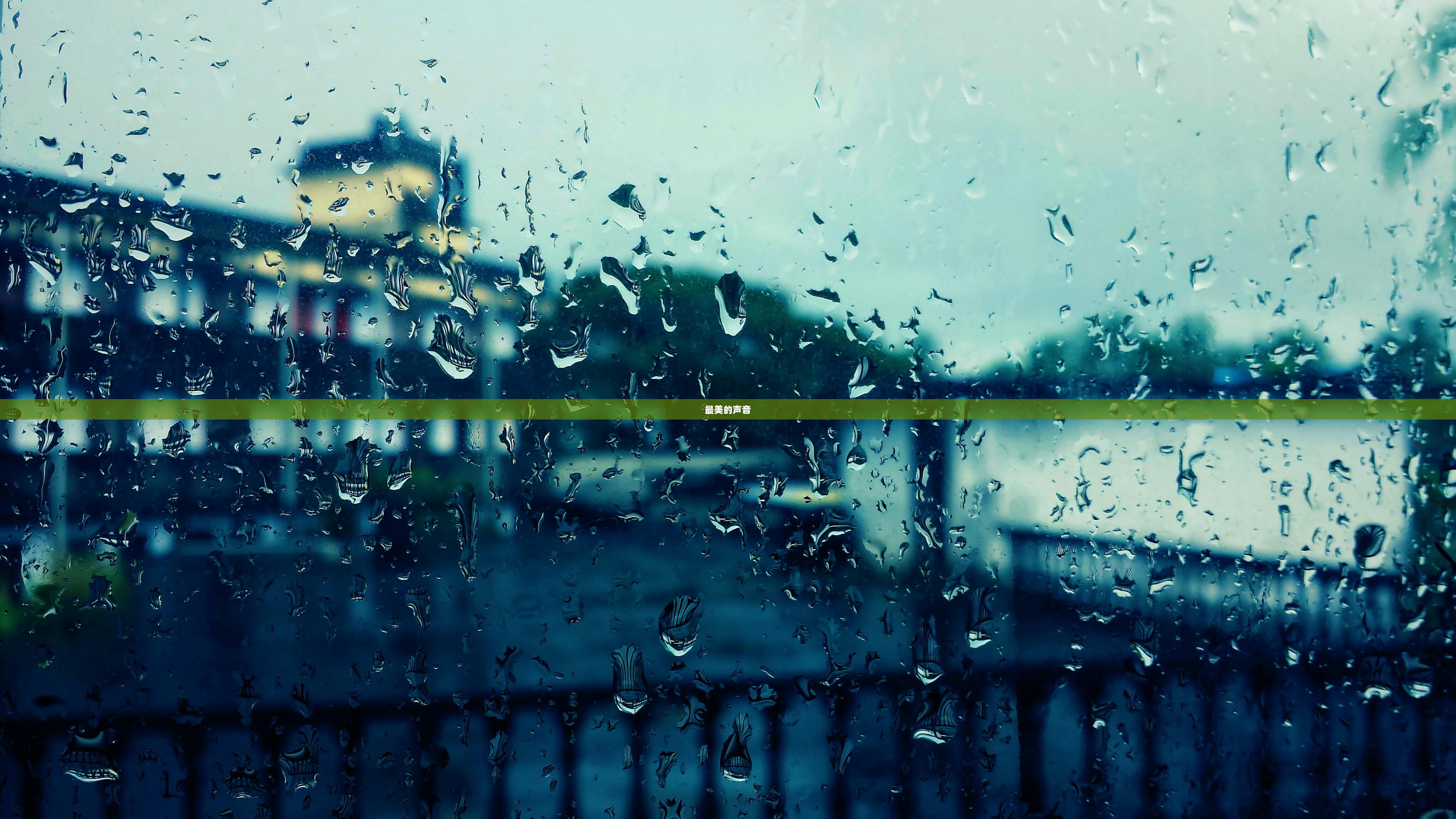 最美的声音  第1张