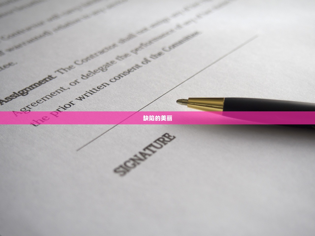 缺陷的美丽 第1张 缺陷的美丽 第1张