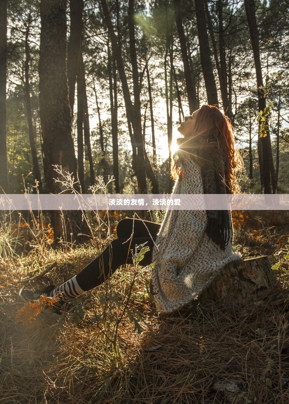 淡淡的友情，淡淡的爱