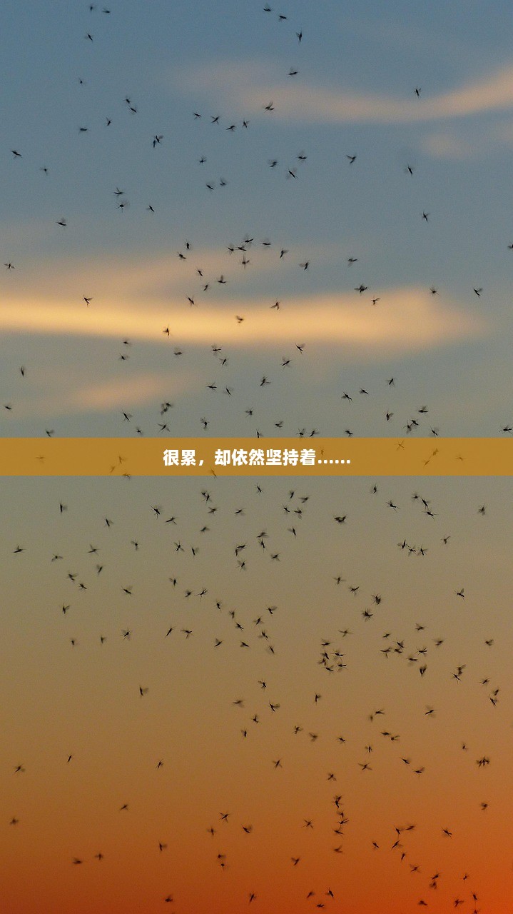 很累，却依然坚持着……