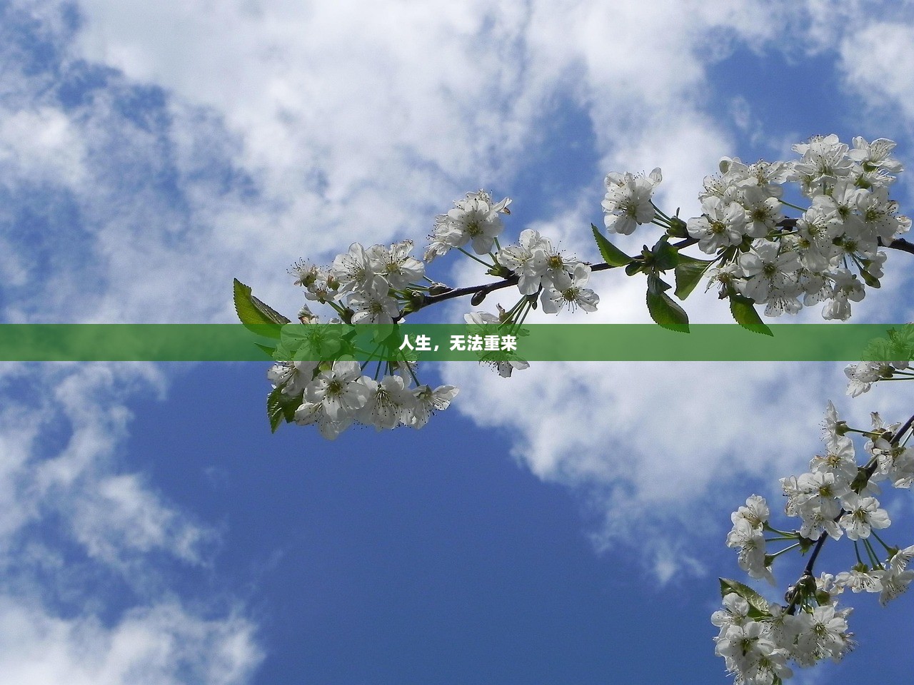 人生，无法重来