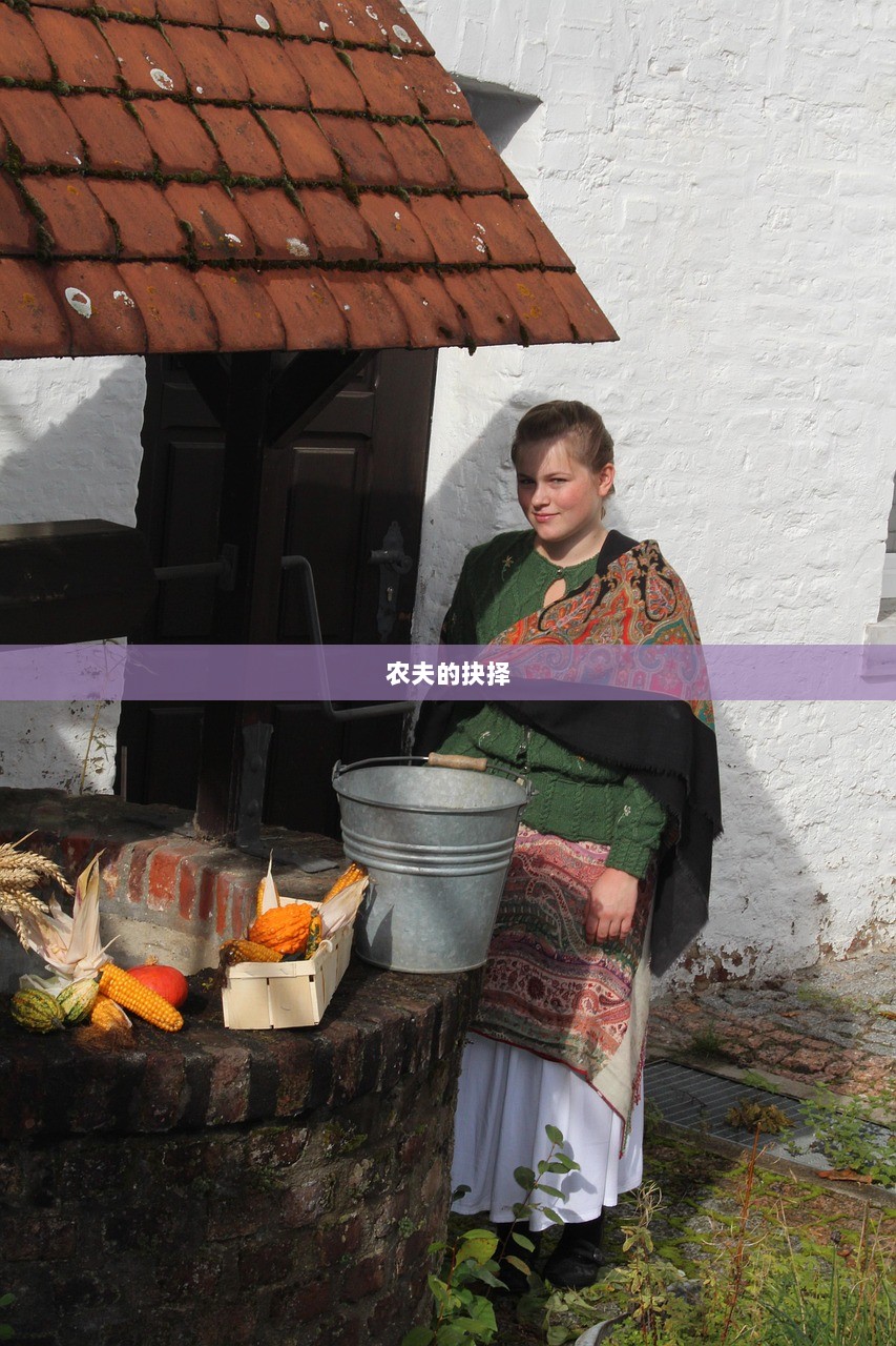 农夫的抉择