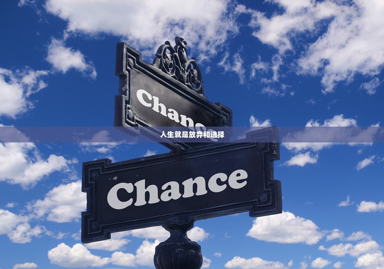 人生就是放弃和选择