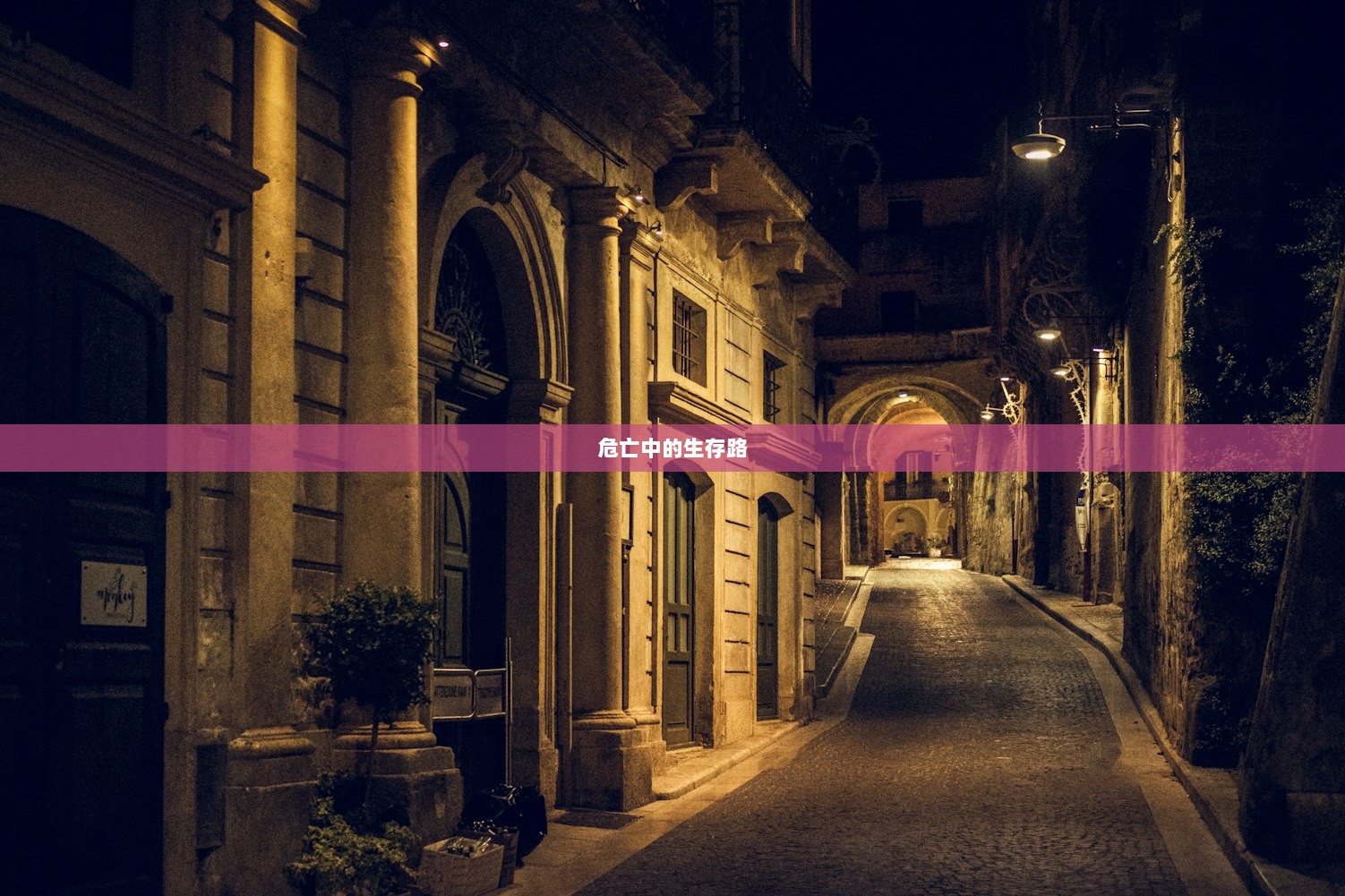 危亡中的生存路
