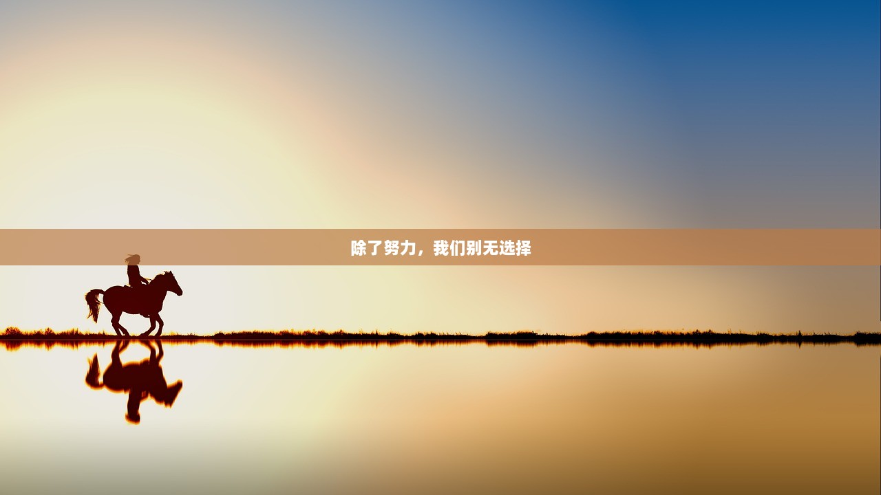 除了努力，我们别无选择