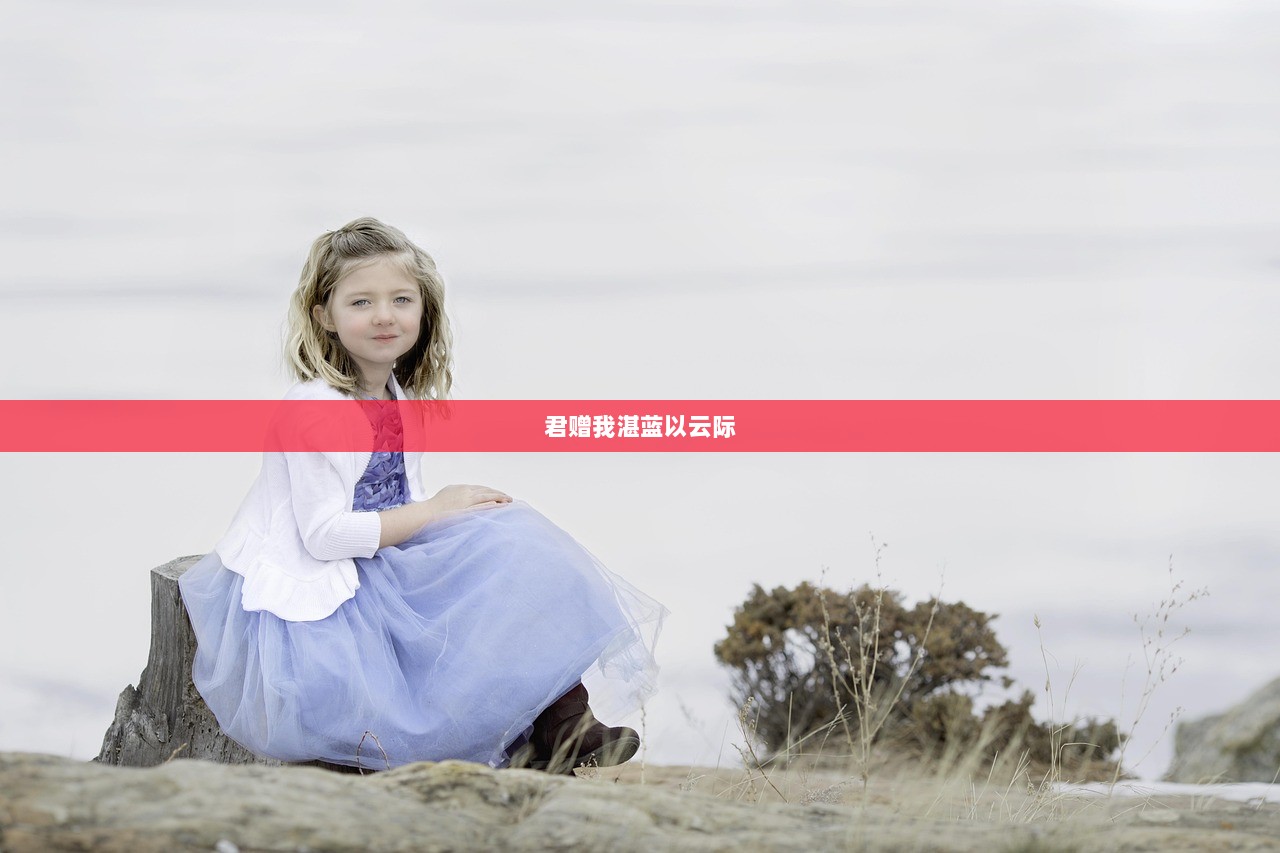 君赠我湛蓝以云际