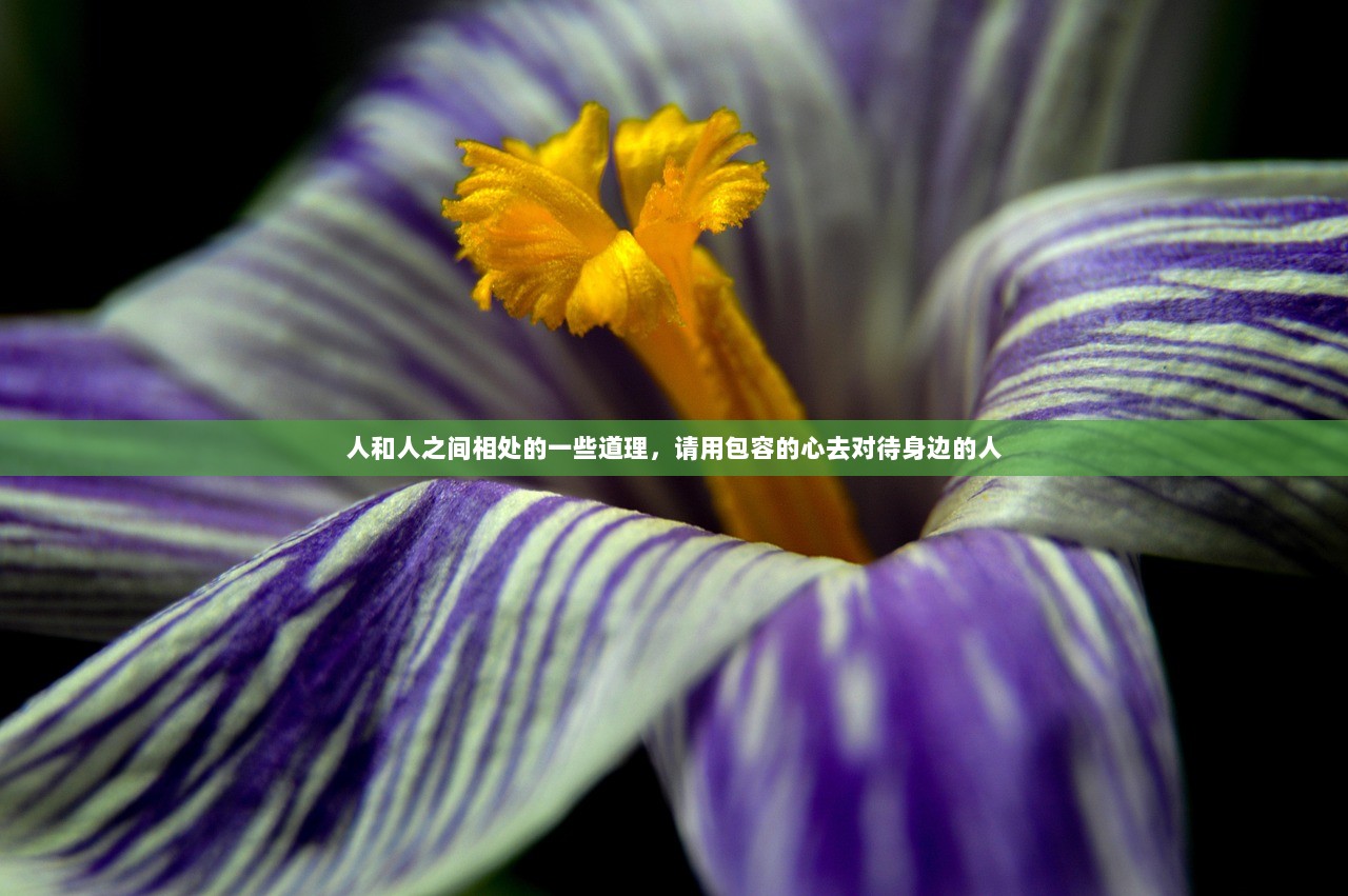 人和人之间相处的一些道理，请用包容的心去对待身边的人