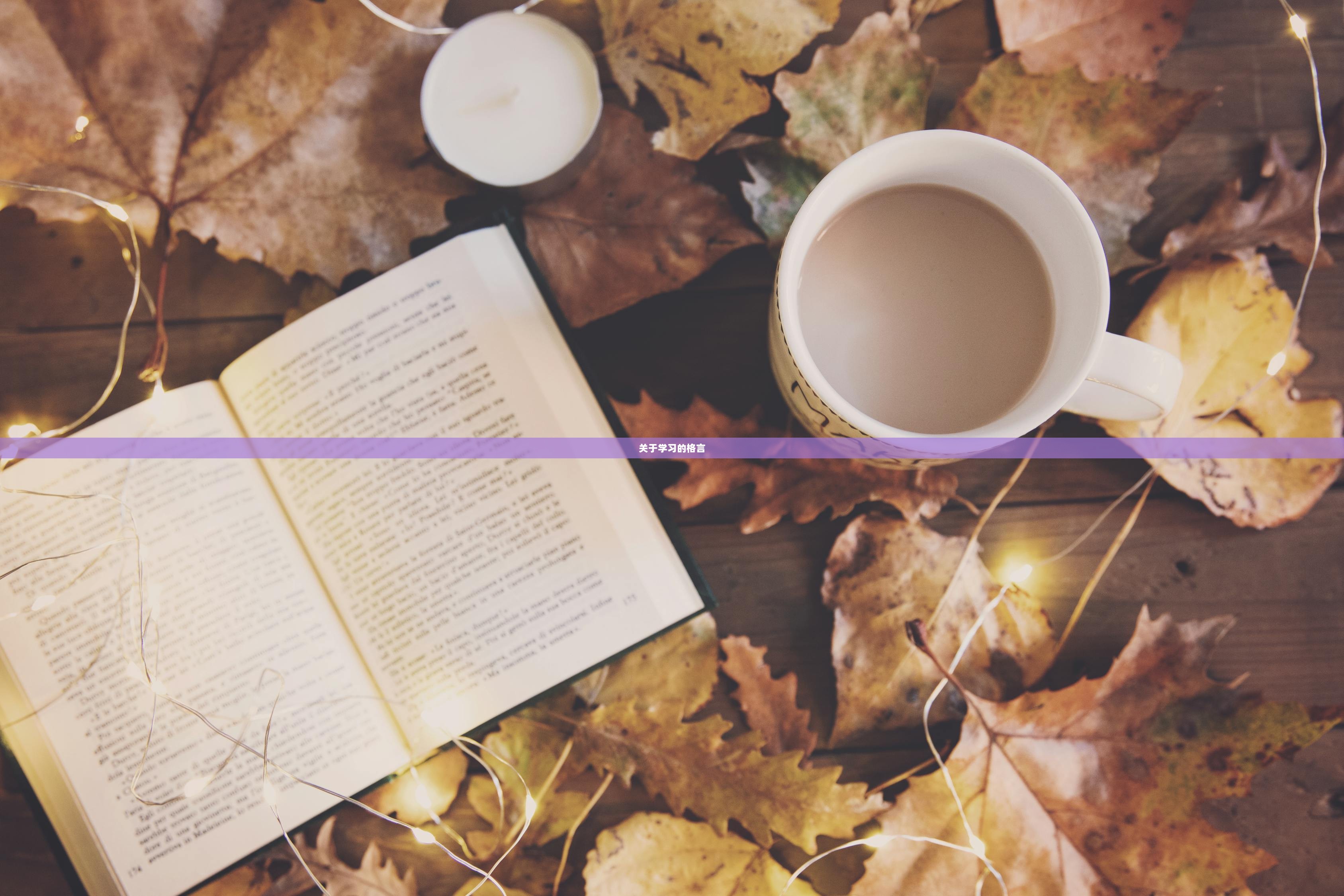 关于学习的格言
