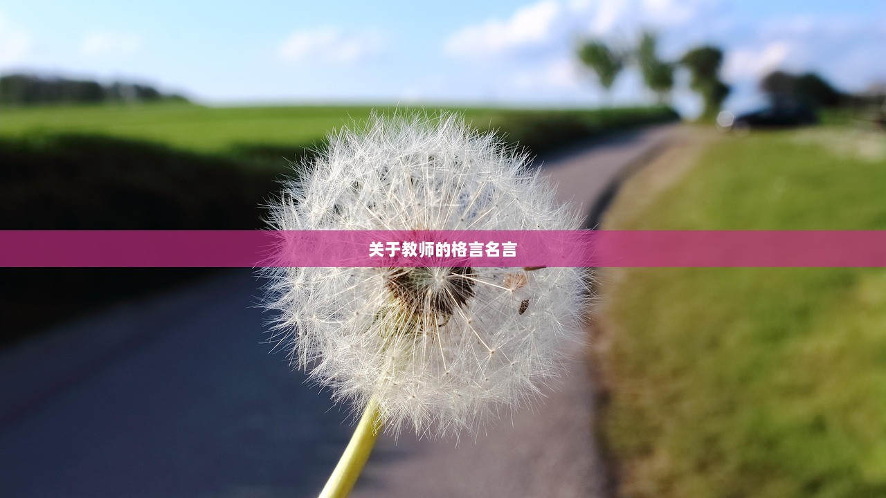 关于教师的格言名言