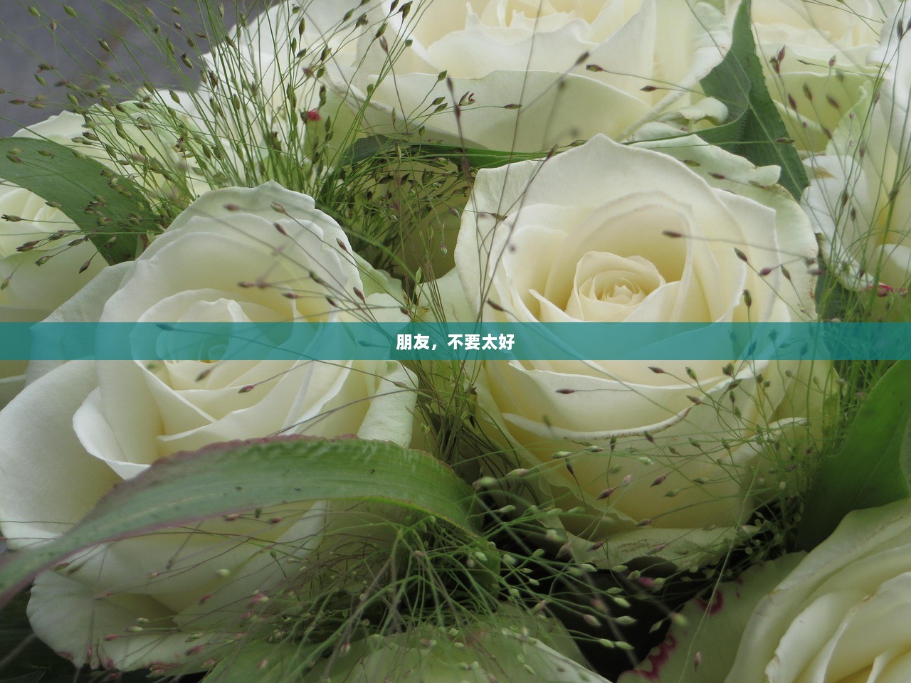 朋友，不要太好