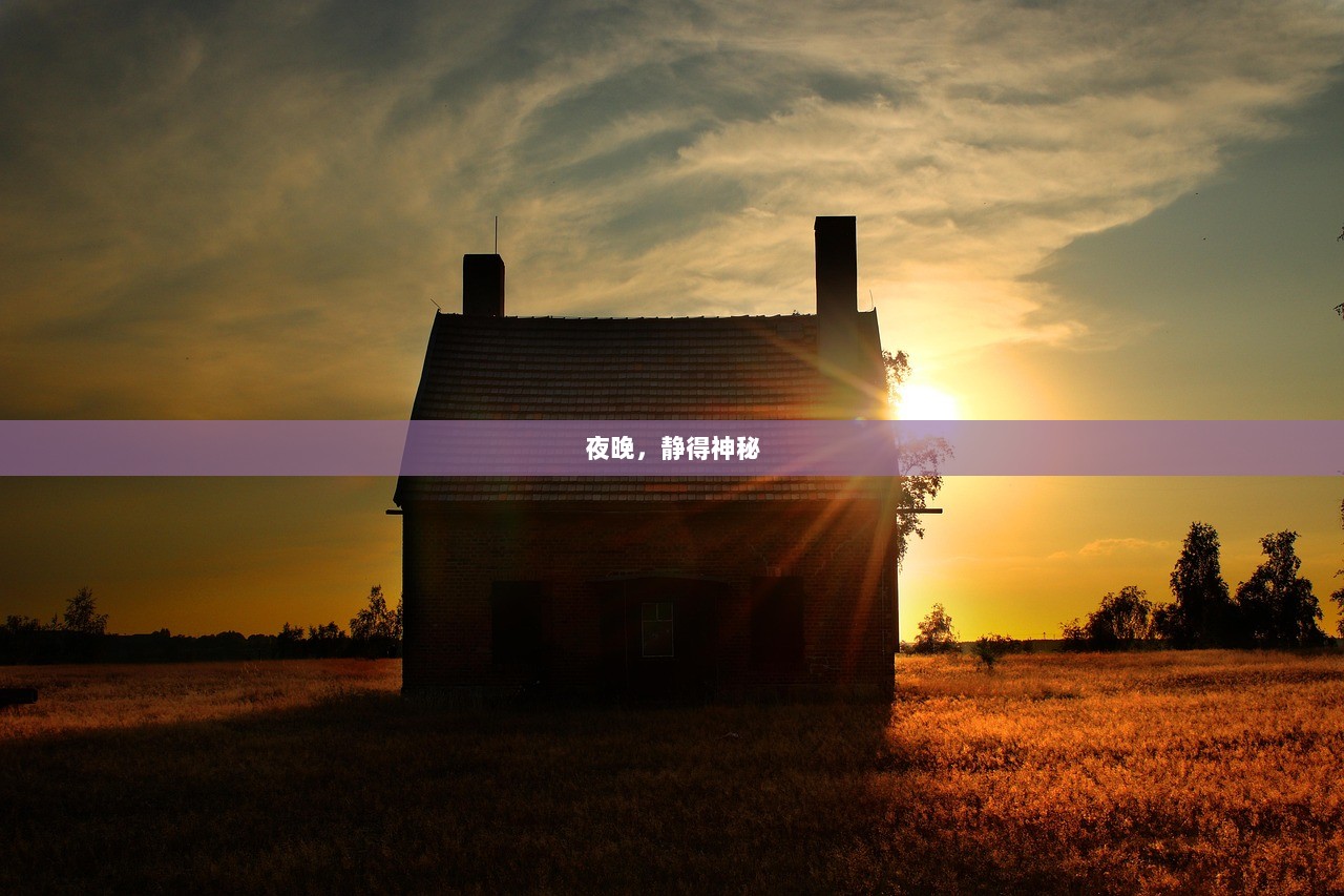 夜晚，静得神秘