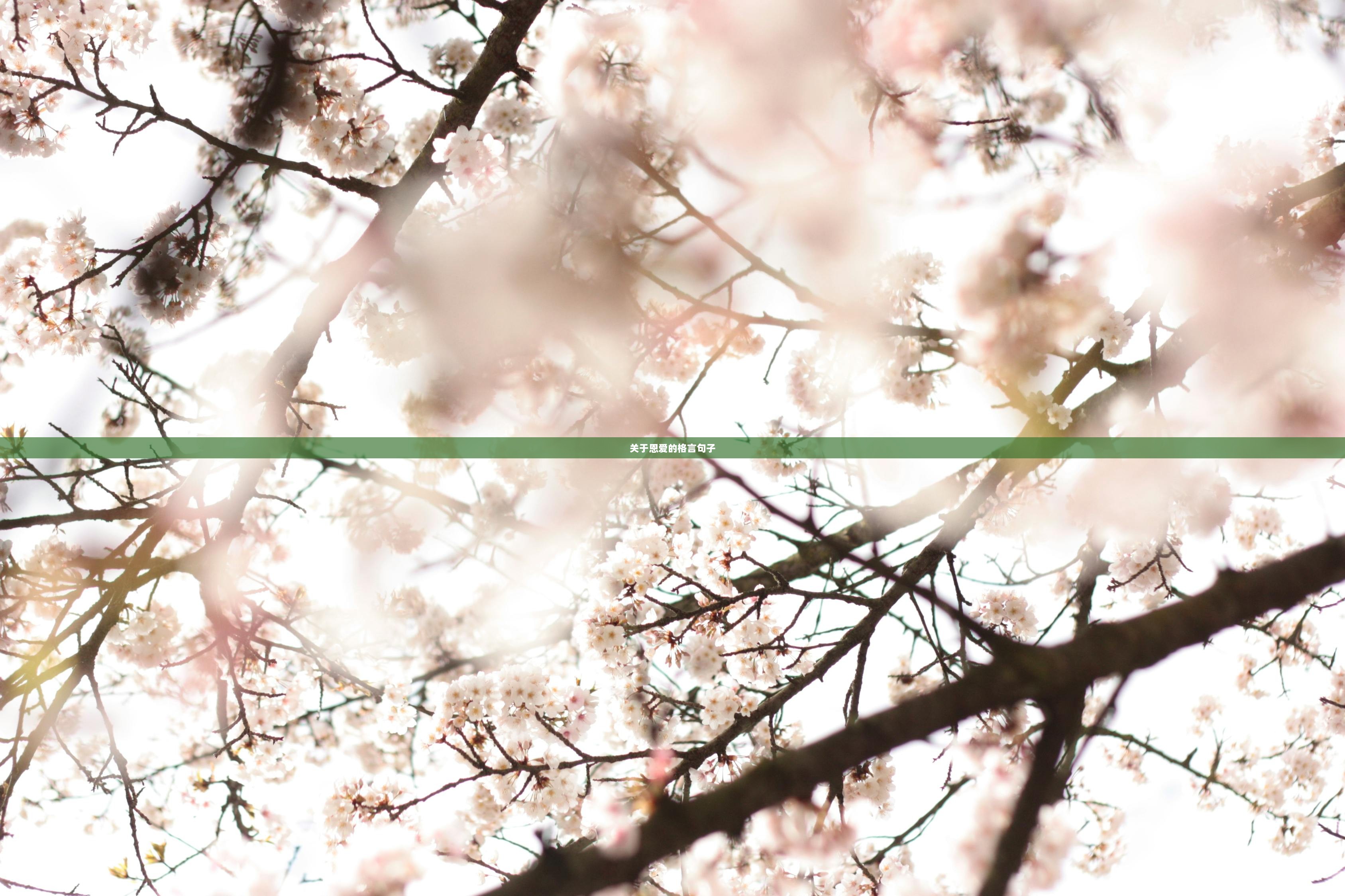 关于恩爱的格言句子