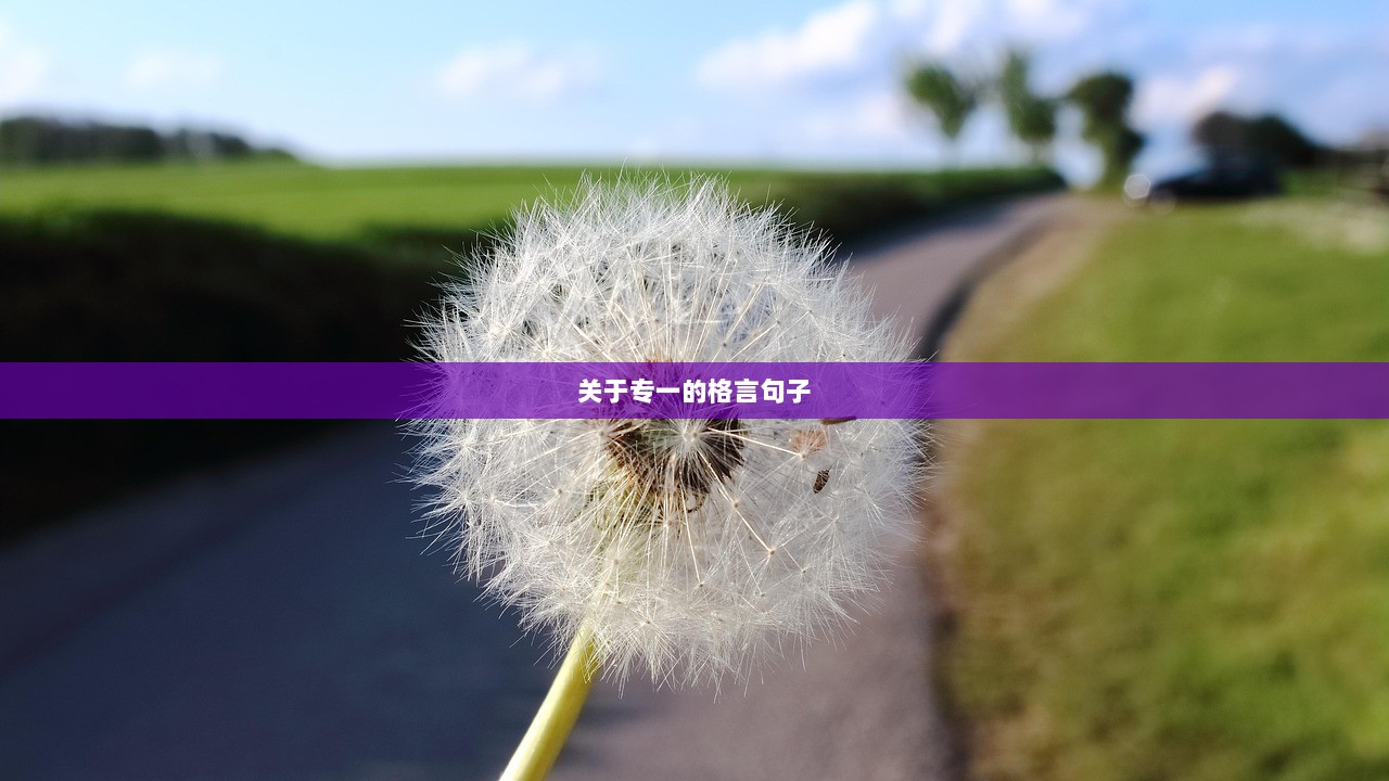 关于专一的格言句子