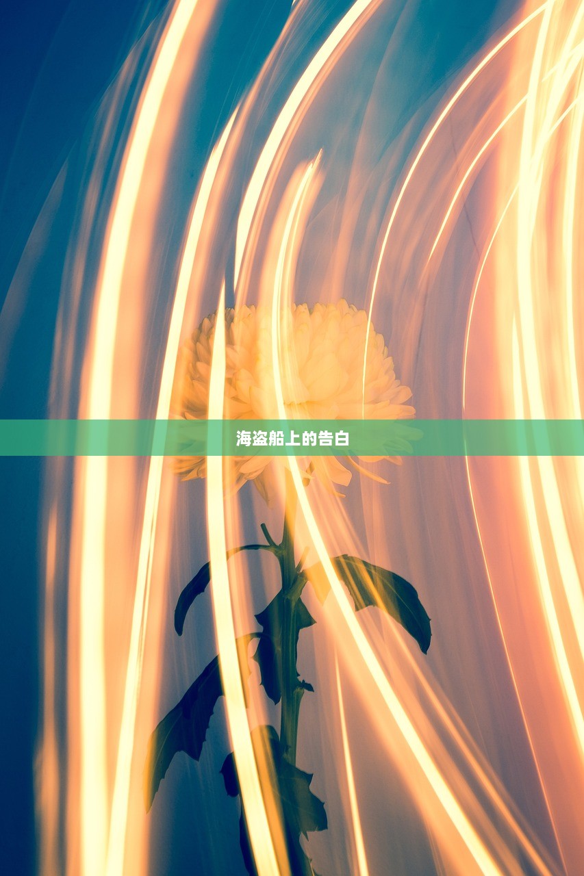 海盗船上的告白  第1张