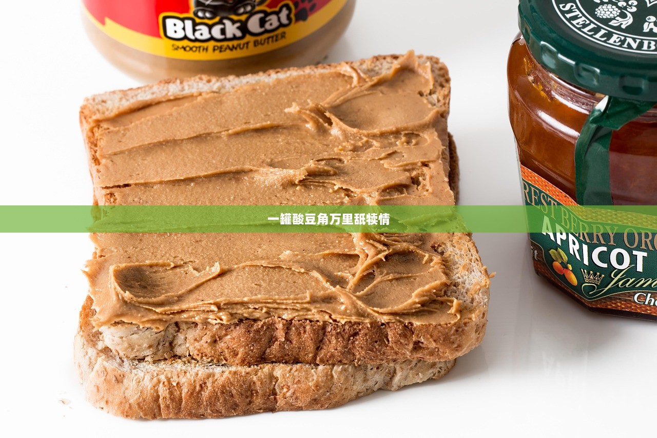 一罐酸豆角万里舐犊情