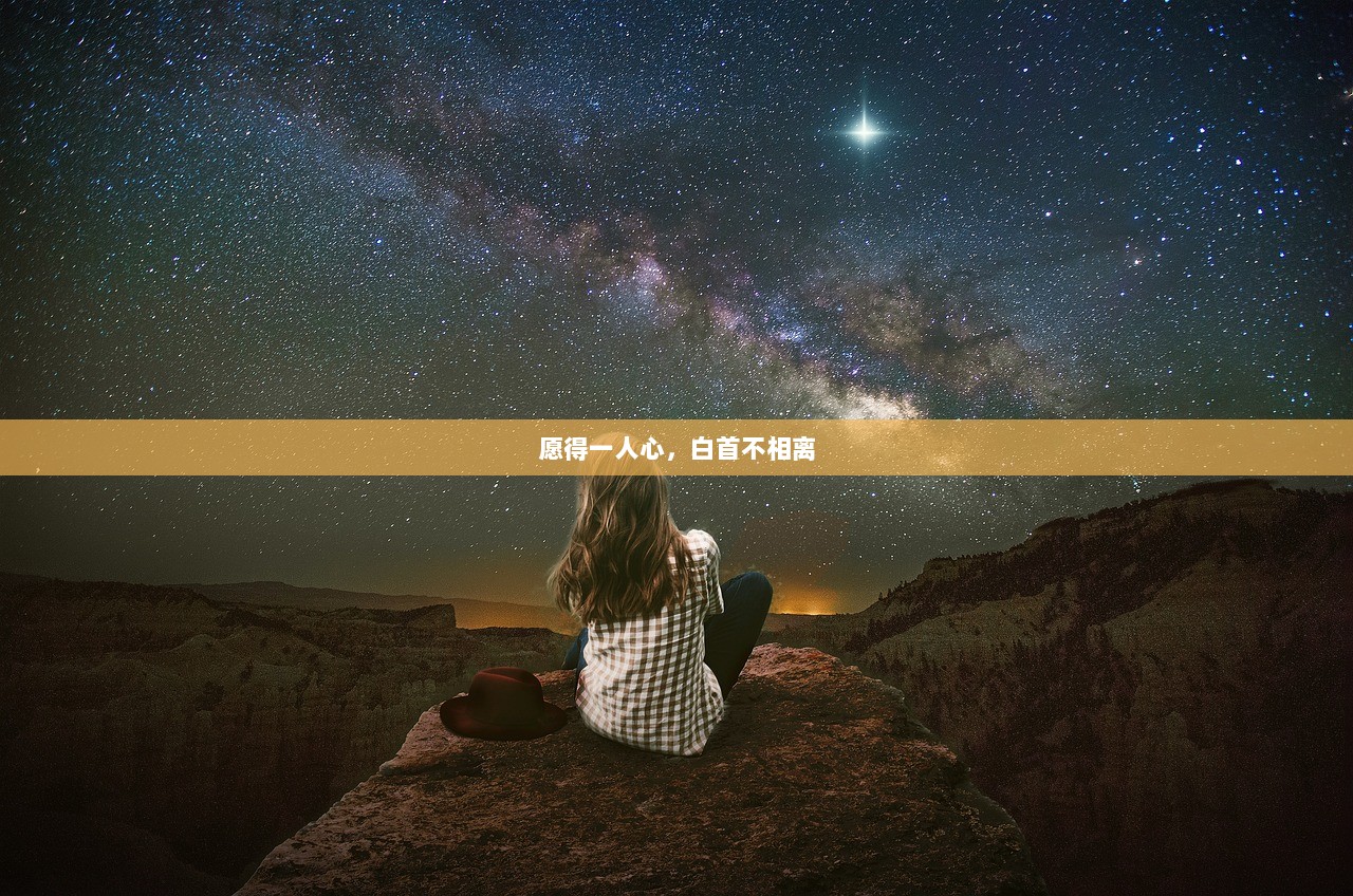 愿得一人心，白首不相离