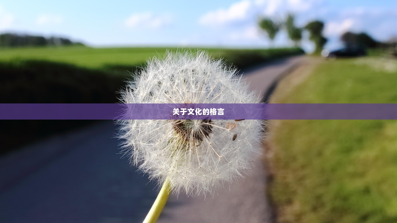 关于文化的格言  第1张