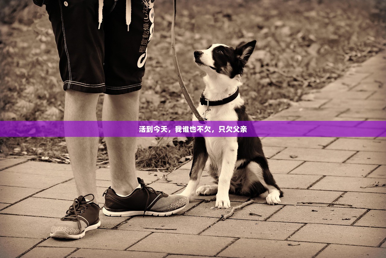 活到今天，我谁也不欠，只欠父亲