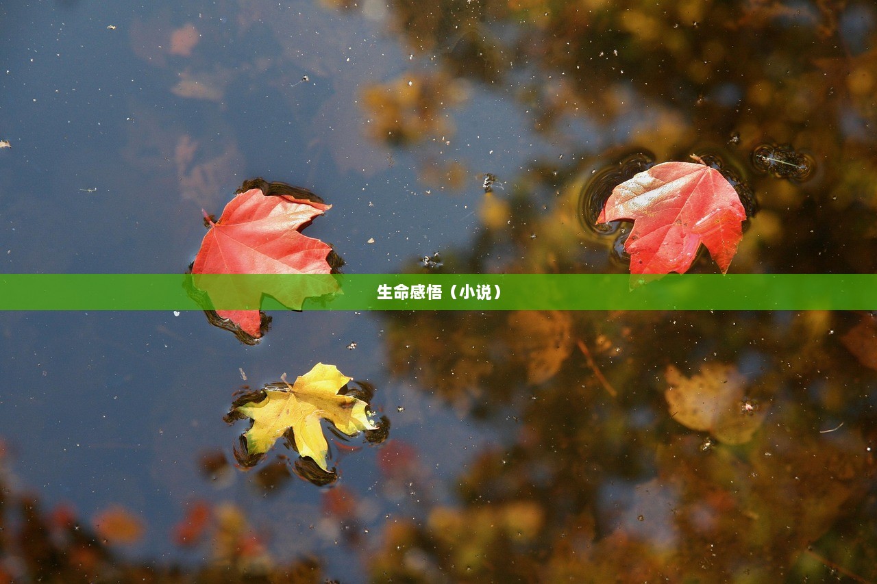 生命感悟（小说）
