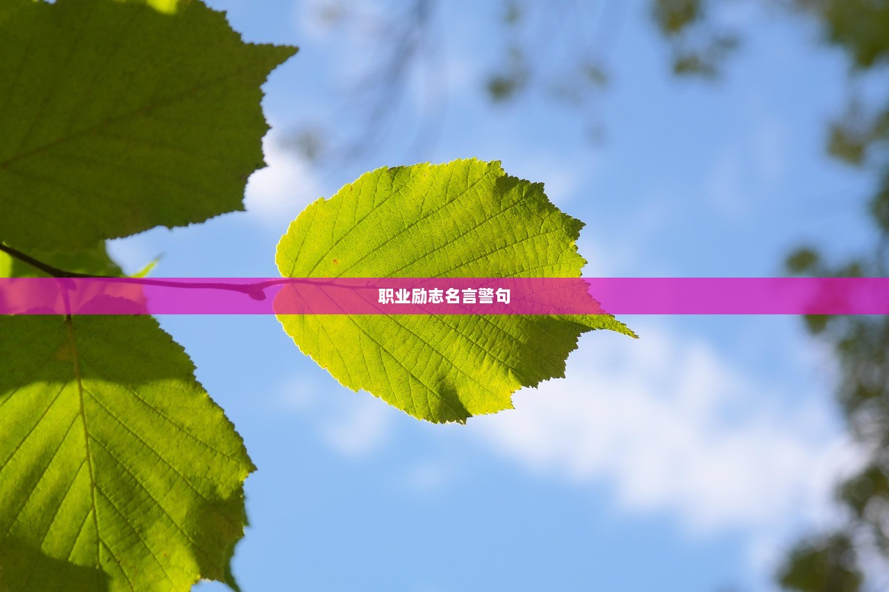 职业励志名言警句