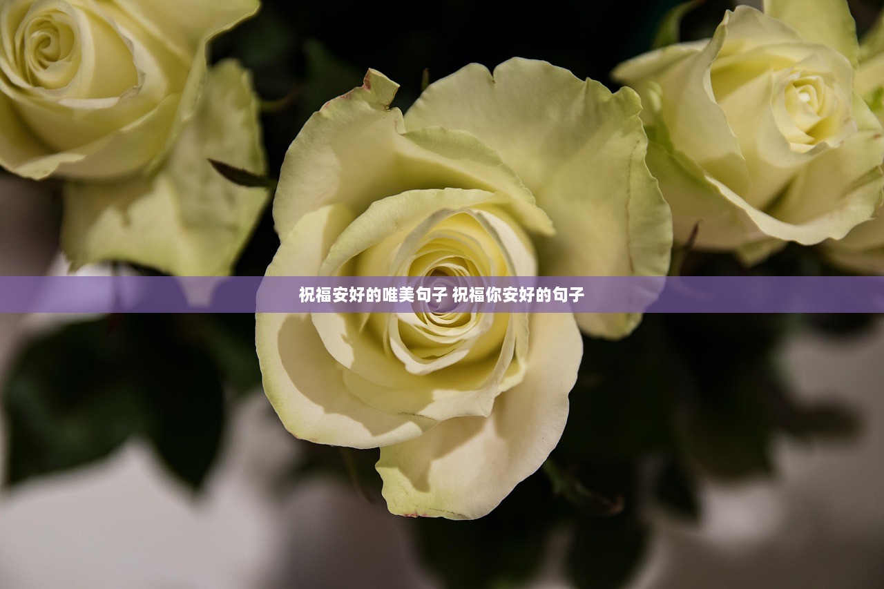 祝福安好的唯美句子 祝福你安好的句子