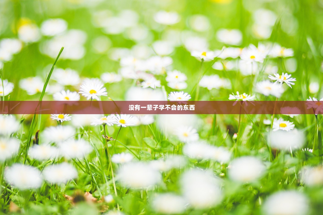 没有一辈子学不会的东西