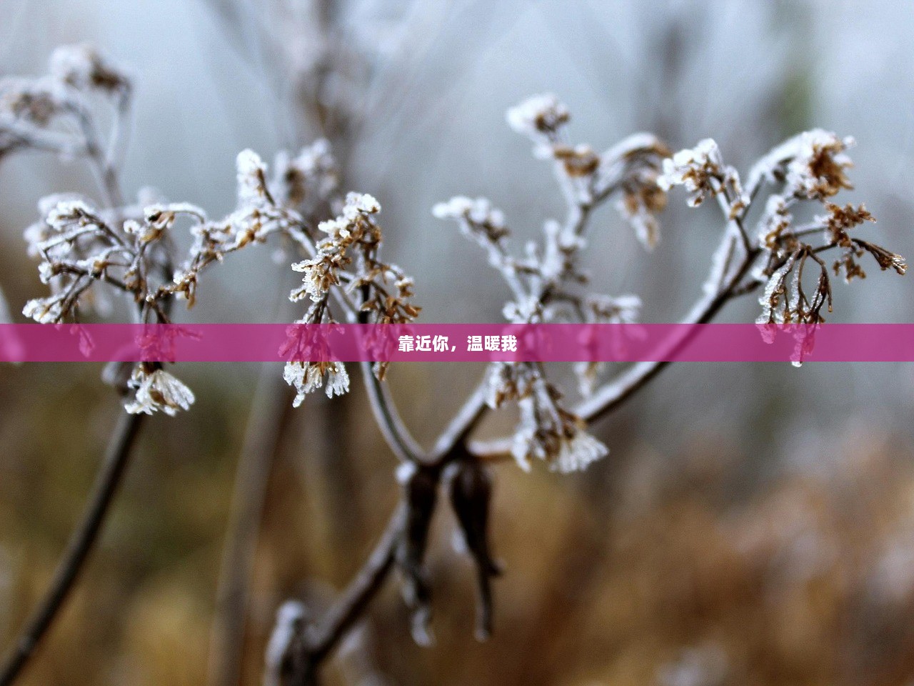 靠近你，温暖我